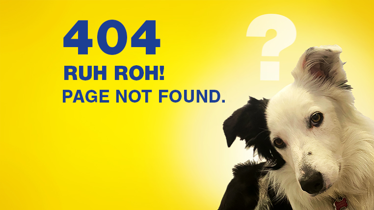 404